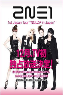 2NE1 1st Japan Tour 