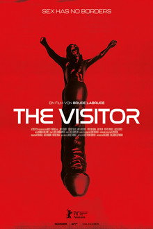 The Visitor