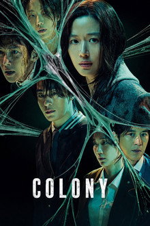Colony