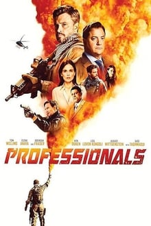 Professionals S01