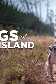 Gangues-da-Ilha-Lemur