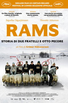 Rams - Storia di due fratelli e otto pecore