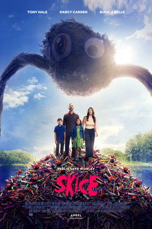 Skice