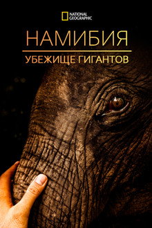 Намибия - убежище гигантов