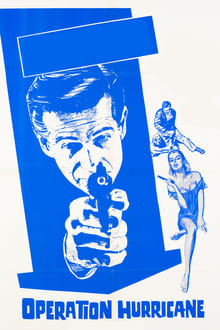 Poster do filme The Violin Case Murders
