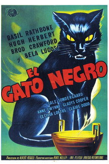 El gato negro