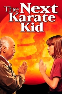 The Next Karate Kid movie poster