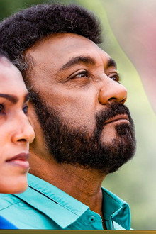 උදුම්බරා