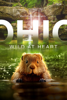 Ohio: Wild at Heart