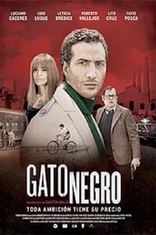 Poster do filme Gato negro