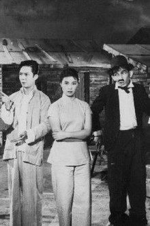 同撈同煲