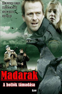 Madarak - A hollók támadása