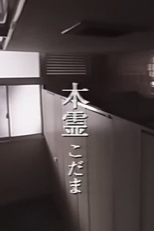 木霊
