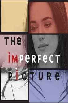 Poster do filme The Imperfect Picture