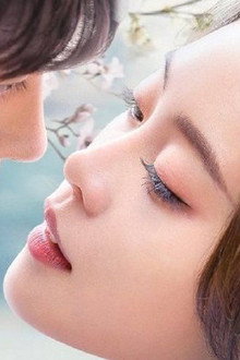 试婚99天