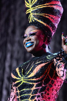 Bob the Drag Queen: This is Wild