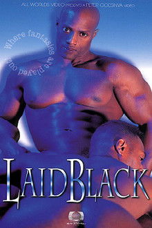 Laid Black