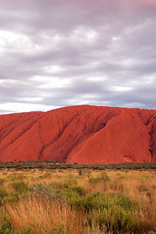 Wild Down Under