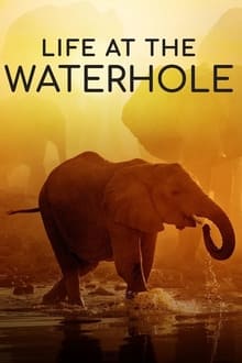 Life at the Waterhole S01E01