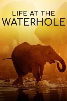 Life at the Waterhole S01E01 Life at the Waterhole S01E01