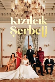 Poster da série Kızılcık Şerbeti