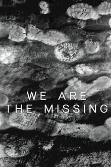 Poster do filme We Are The Missing