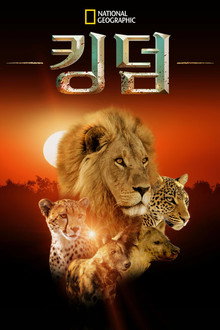 킹덤