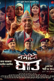 नमेटिने घाउ