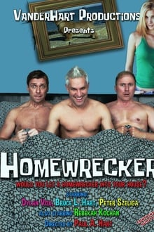 Poster do filme Homewrecker