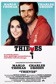 Poster do filme Thieves