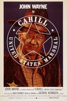 Cahill: United States Marshall movie poster