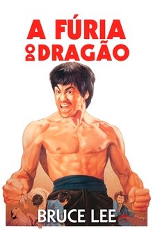 Assistir A Fúria do Dragão Dublado Assistir A Fúria do Dragão Dublado