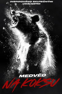 Medvěd na koksu