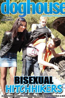 Bisexual Hitchhikers