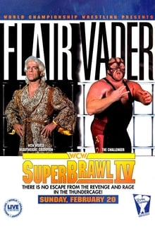 Poster do filme WCW SuperBrawl IV