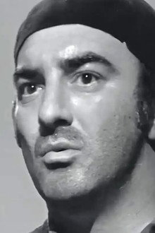Diplomci