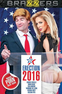 ZZ Erection 2016