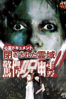 心霊ドキュメント 閉ざされた霊域 驚愕呪幽霊！！