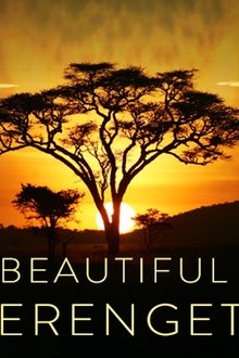 Beautiful-Serengeti