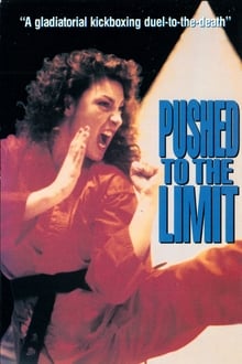 Poster do filme Pushed to the Limit