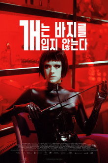 개는 바지를 입지 않는다