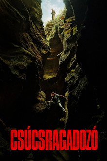 Csúcsragadozó