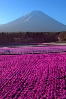 Le-Japon-vu-du-ciel