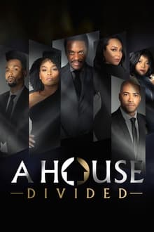 A House Divided tv show poster