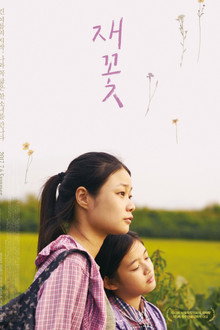 재꽃