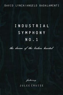 Poster do filme Industrial Symphony No. 1: The Dream of the Brokenhearted