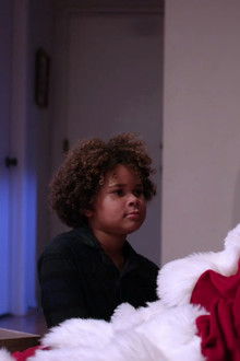 Golden-Winter-2---Die-Katzen-sind-los