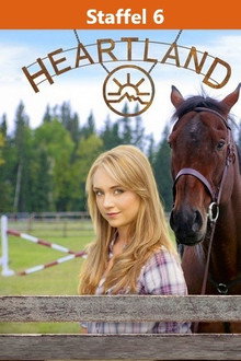 Staffel 6