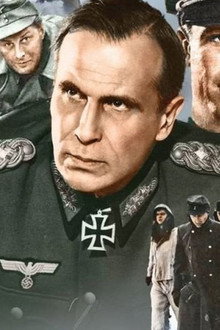 Собаки, хотите жить вечно?