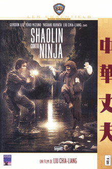 Shaolin contre Ninja